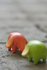 Elephant Couple Falling in Love