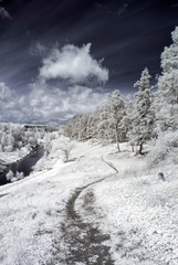 Infrared photography. Surreal landscape, forest river surrounded by amazing, beautiful trees, our beautiful world in the spectrum of infrared camera.