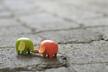 Elephant Couple Falling in Love