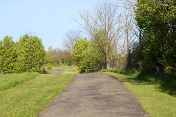 The long empty walk in the park on a sunny day.