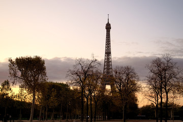 Fototapeta na wymiar view of the Eiffel tower at dusk