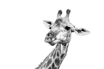 Zelfklevend Fotobehang portrait of a giraffe © Morne