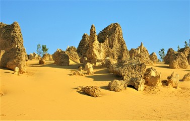 sand dunes in the desert