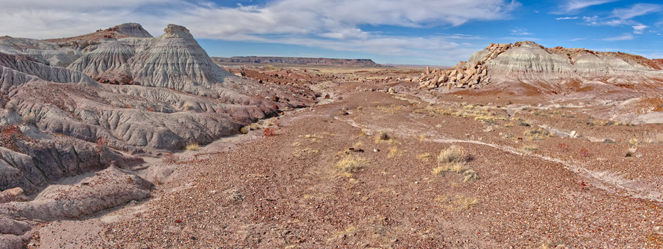 The remains of an old road in the Jasper Forest Petrified Forest National Park, built in the 1930s but then abandoned in the 1940s, Arizona, United States of America, North America