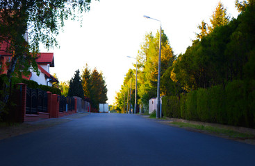 street in spring.