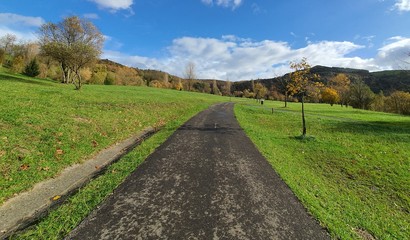 Fototapeta na wymiar a gray road in a green park during fall in a sunny day
