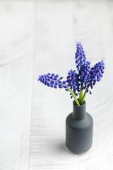 A bouquet of beautiful purple flowers in a vase. The concept of a greeting card to a woman, an invitation. Copy space.