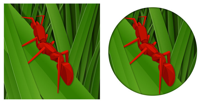 Origami Ant Paper Papercut art 