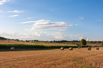 panoramic view of fields and wheat bales at sunset