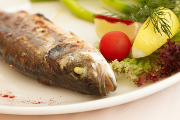 this is cooked fish on a plate