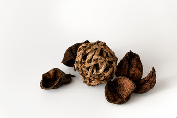 Nature object ( ball of larch branch,
lily petals) for decoration isolated on a white background.