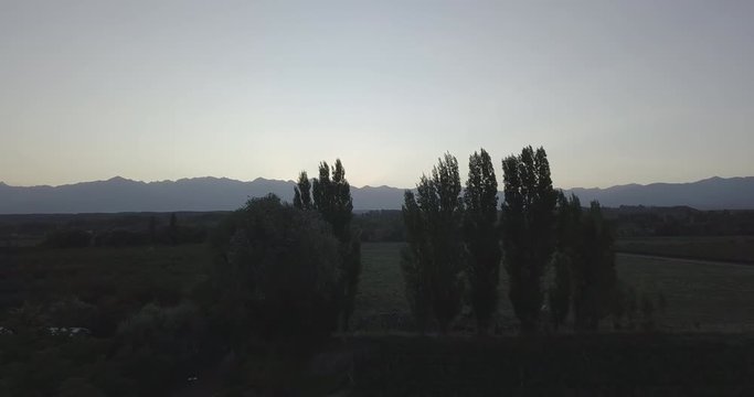 Ungraded, Straight aerial flight over field between trees revealing Cordillera de los Andes. Drone, 4K. 
Valle de Uco, Tupungato, Mendoza, Patagonia, Argentina