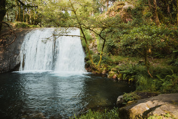 Waterfall in surrounded by tress and rocks in a forest in Galicia