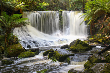 Australien, Tasmanien, Mount Field National Park, Russel Falls