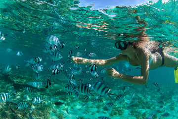 Snorkeling in Mauritius - obrazy, fototapety, plakaty