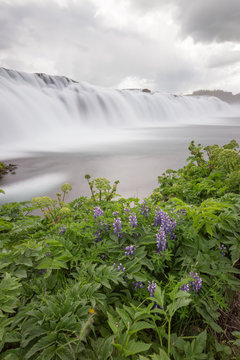 Island, Austurland, Wasserfall mit Pflanzen
