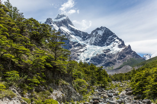 Chile, Regi&oacute;n de Magallanes y de la Ant&aacute;rtica Chilena, Ultima Esperanza, Torres del Paine, O-Circuit-Wanderung 130km, Wanderung zum vorletzten Camp, Gletscher
