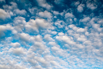 Blue sky background with white clouds. Beautiful cloud scape. Altocumulus clouds.