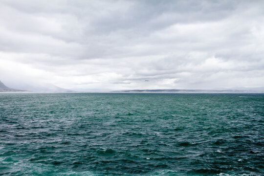 S&uuml;dafrika, Westkap, Cape, Garden Route, rund um Cape Town. Die Bucht von Hermanus. Hermanus ist ein Ort in der Provinz Westkap in S&uuml;dafrika. Guter Ort und Wahle zu sichten., Die Bucht von Hermanus