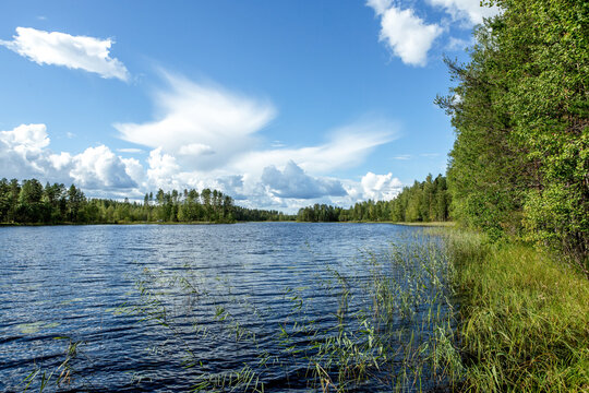 Finnland, 10 Tage leben im M&ouml;kki, auf einer Insel die nur mit dem Ruderboot zu erreichen ist. Der n&auml;chste Ort Juvola ist 1 km entfernt. Region Linnansaari Nationalpark, Ein sch&ouml;ner Blick am Wasserrand entlang
