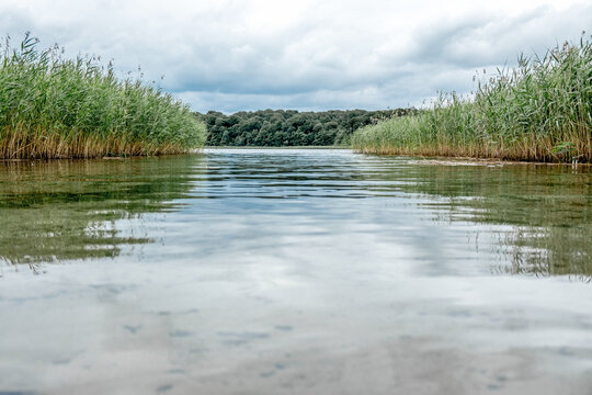 Deutschland, Brandenburg, Boitzenburger Land, Auf Fahrradtour um Thomsdorf in der Uckermark, EIn Blick auf den Wald umgeben von Schilf
