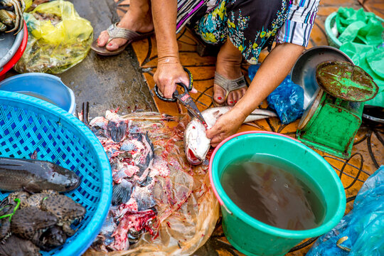 Vietnam, Cần Thơ, Can Tho, Straßenverkauf und Händlern in den Straßen von Cần Thơ Hauptstadt des Mekong Delta, größte Stadt des Mekong Delta. Verkauf von Lebenden Tieren., Filitieren am Straßenrand