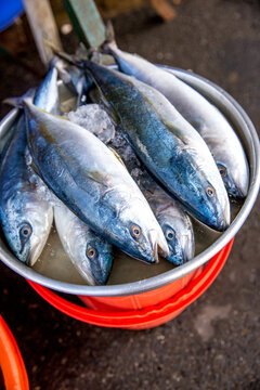 Vietnam, Cần Thơ, Can Tho, Stra&szlig;enverkauf und H&auml;ndlern in den Stra&szlig;en von Cần Thơ Hauptstadt des Mekong Delta, gr&ouml;&szlig;te Stadt des Mekong Delta. Verkauf von Lebenden Tieren., Fische zum Verkauf