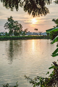 Vietnam, Cần Thơ, B&igrave;nh Thủy, Zu Besuch auf der Insel Con Son (Cồn Sơn, B&ugrave;i Hữu Nghĩa,) in der N&auml;he von Cần Thơ der gr&ouml;&szlig;te Stadt im Mekong-Delta und gleichzeitig die Hauptstadt des Mekong Delta. Wanderung zum Aussichtspunkt der Insel bei Sonnenuntergang., Sonnenuntergang &uuml;ber dem Fluss
