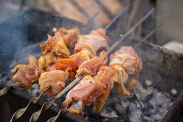 Close up of raw shashlik on skewers. Succulent barbecue roasting on chargrill. Concept of picnic outdoor.