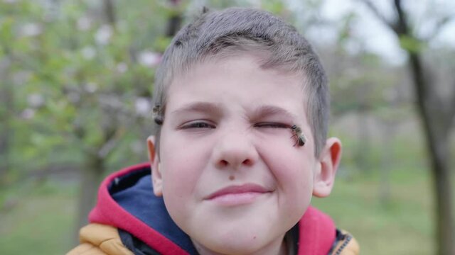 beekeeping, child whose parents have an organic business plays with honey bees on his face without fear of insect ovary while standing in nature during spring season