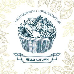Hello autumn. Fall harvest hand drawn vector illustration. Pumpkin, corn, apple, pear, grape and wheat in basket. Part of set.