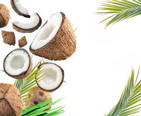 
set coconut isolated on the white background
