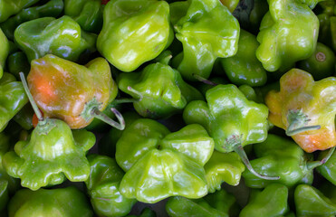 chili exposed at the outdoor fair