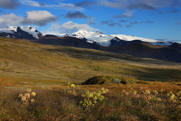 Volcanic alpine landscape in Skaftafell Natural Park, Iceland, Europe