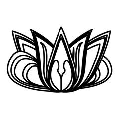 Mandala floral pattern