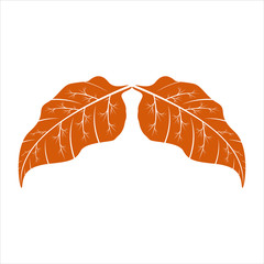 autumn leaf vector illustration