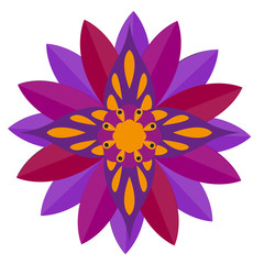 Isolated colored mandala