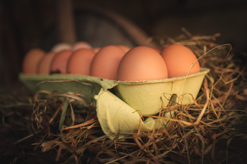 Organic eggs in a ecologic farm of Galician,Spain.