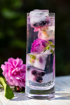 Rose Infused Gin And Tonic In Highball Glass