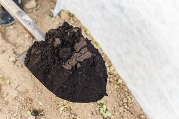 Spade with ground black earth