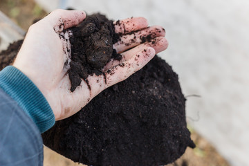 Spade with ground in garden. The gardener takes a handful of land with his hand