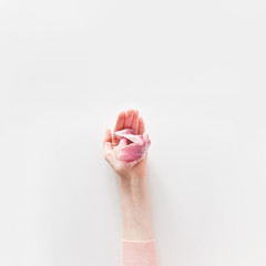 Overhead view of pink tulip in girl's hand isolated on white background. Flat lay, top view