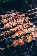Close up of toasted shashlik on skewers. Succulent barbecue roasting on chargrill. Concept of picnic outdoor.