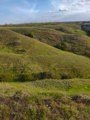Fototapeta premium landscape with green grass