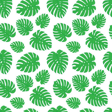 Monstera. Monstera leaves seamless pattern. Endless floral background. Part of set. © Goga