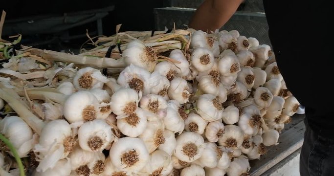 aunts buying garlic from the counter