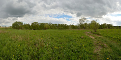 Obraz premium Spring walks in the woods and fields. 