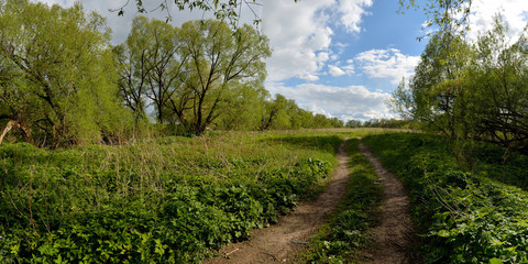 Fototapeta na wymiar Spring walks in the woods and fields. 