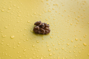 One walnut lies on a yellow background. Water drops on a yellow background.