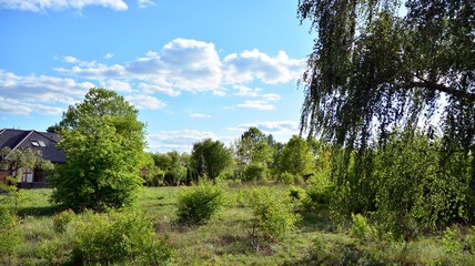 View of  house in suburban neighborhood. Suburban landscape.